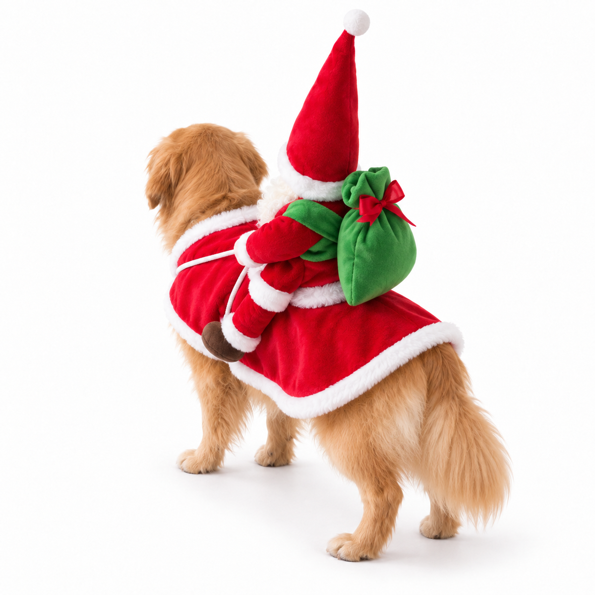 Santa Ride – Christmas Dog Costume
