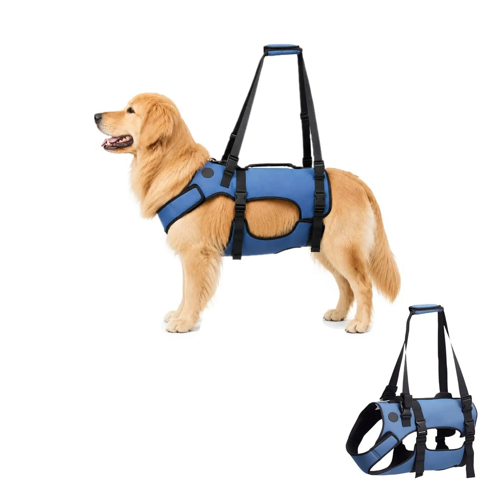 GoldenSteps Support & Lift Harness