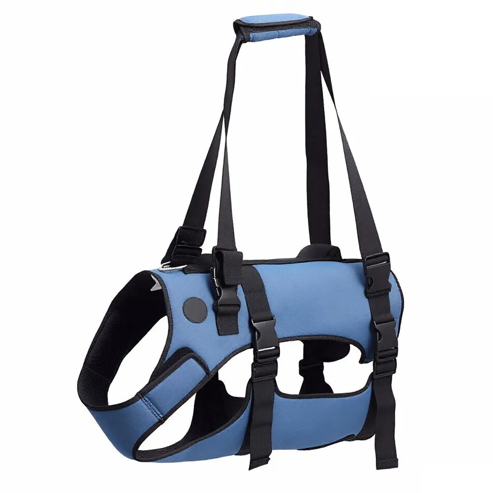 GoldenSteps Support & Lift Harness