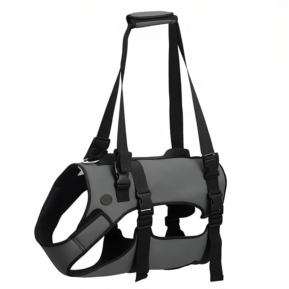 GoldenSteps Support & Lift Harness