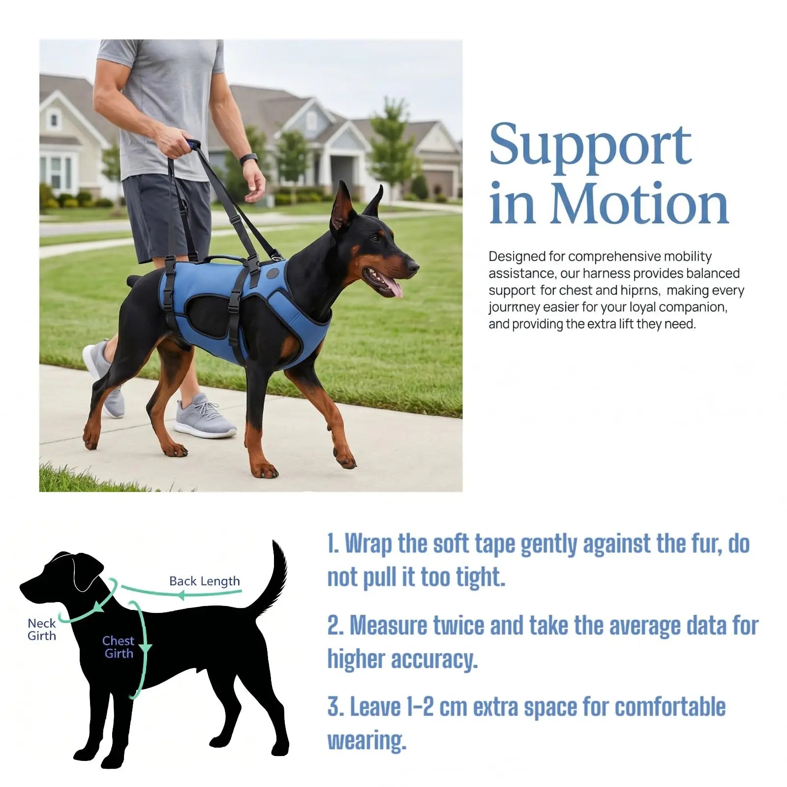 GoldenSteps Support & Lift Harness